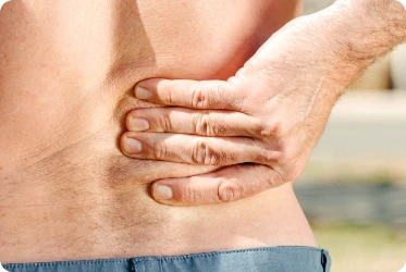 Lower Back